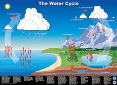 the hydrologic cycle is shown in this graphic above water, land and other things