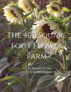 the cover of the book, the 400 square foot flower farm