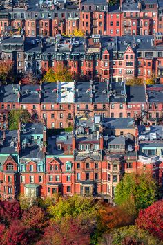 an aerial view of many brick buildings and trees in the foreground, with autumn foliage on the ground