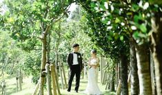 a bride and groom standing in the middle of an avenue of trees at their wedding