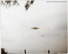 The Calvine UFO Photo is Being Hailed as the 'Best UFO Photo Ever' - Creepy Article | eBaum's World Sheffield Hallam University, Project Blue Book, Spy Plane, Two Witnesses, Unidentified Flying Object, Stormy Night, Ufo Sighting, Out Of Focus, Flying Saucer