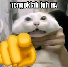 Stiker, stiker tengok lah tuh ha, stiker Meme Setiker Wa, Stiker Random, Meme Absurd, Sticker Meme, Sticker Wa, Funny Words To Say, Cute Jokes, Jokes Pics, Meme Stickers