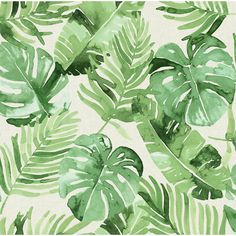 watercolor painting of green tropical leaves on white background with text overlay that says,