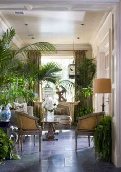 a living room filled with furniture and lots of plants