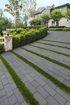 a stone walkway with grass growing on it