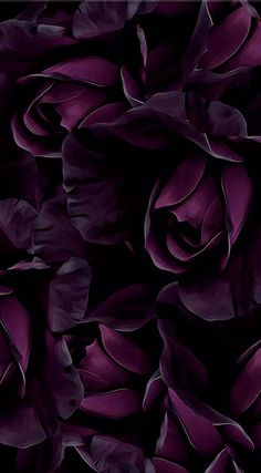 an image of purple flowers in the dark