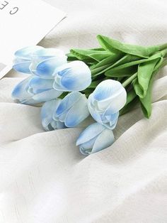 some blue flowers are laying on a white sheet