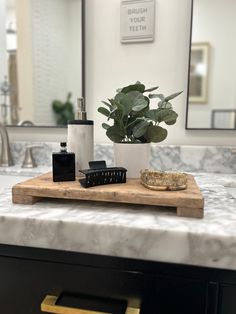 a bathroom counter with soap, toothbrushes and a potted plant on it