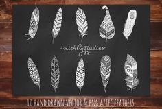 hand drawn feathers on a chalkboard with the words, 10 hand drawn feathers and 4 x