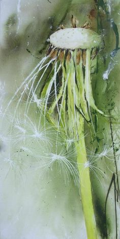 a painting of a dandelion with water droplets