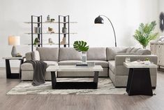 a living room filled with furniture and a large plant on top of a coffee table