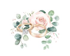 two gold wedding rings with pink roses and greenery on the side, painted in watercolor