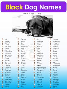 a black dog names list with blue background