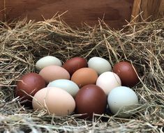 several eggs in a nest on some straw