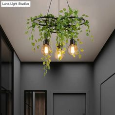 three light bulbs hanging from the ceiling in a room with grey walls and green plants