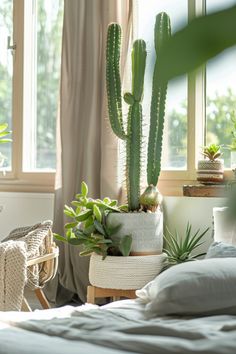 a bedroom with a bed, chair and cactus in the corner on the window sill