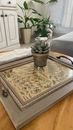 a tray with a potted plant on top of it