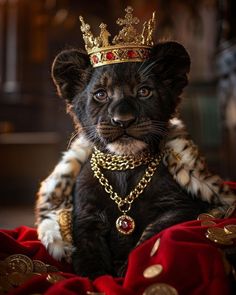 a black leopard cub wearing a gold crown