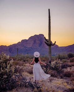 a woman in a white dress and hat standing next to a tall cactus tree at sunset