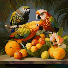 two parrots are sitting on top of oranges