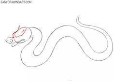 how to draw a snake for beginners