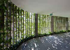 an empty room with lots of greenery on the walls and floor, along with wooden slats