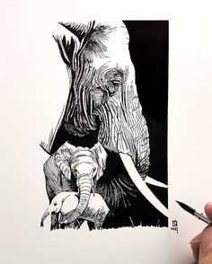 a drawing of an elephant and its baby is being drawn by someone's hand