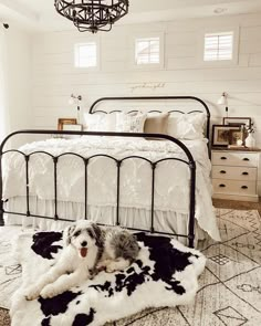 a dog laying on top of a black and white rug next to a metal bed