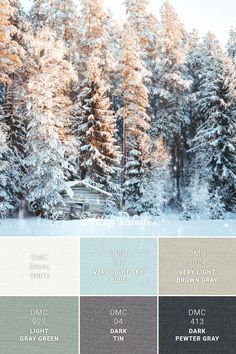 the color scheme for winter is shown in shades of blue, gray and white with trees