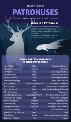 an info sheet with information about the different types of animals and their names on it