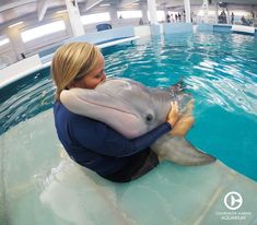 a woman is holding a dolphin in the water