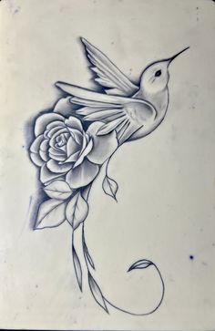 a drawing of a hummingbird with a rose on it