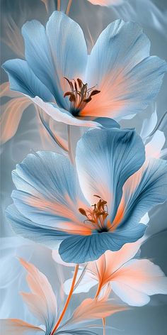 two blue flowers with orange centers on a light blue and white background in the middle