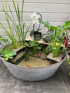 a large metal bowl filled with plants and fish in it's water feature area