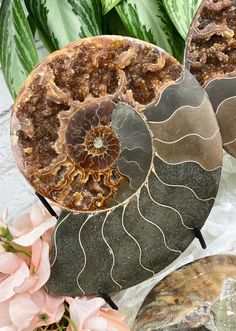 three decorative seashells sitting next to some pink flowers