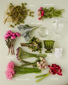 various flowers are arranged on a white surface with words describing the different types of flowers