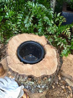 a tree stump with a hole in the middle surrounded by plants and other things around it