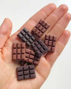 small chocolate squares in the palm of someone's hand