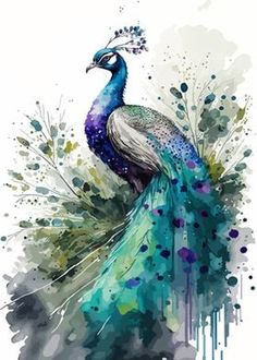 a painting of a peacock with watercolor paint splatters on it's feathers