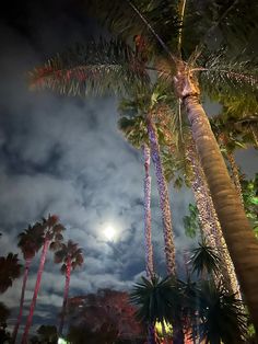 palm trees are lit up at night with the moon in the sky and clouds behind them