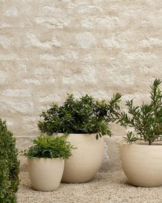 three white planters sitting on top of a gravel ground next to a stone wall