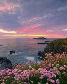 the sun is setting over the ocean and flowers are blooming