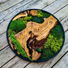 a wooden table topped with lots of different types of green plants and wood slices on top of it