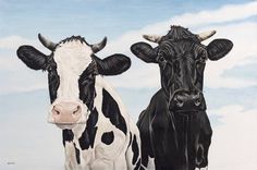 two black and white cows standing next to each other in front of a blue sky