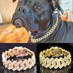 the dog is wearing two different types of gold chains on it's collars