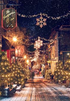 a snowy street with christmas lights and trees