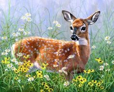 a painting of a deer standing in tall grass with daisies and wildflowers