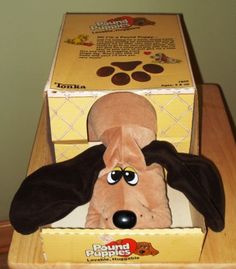 a stuffed dog in a box with its eyes open