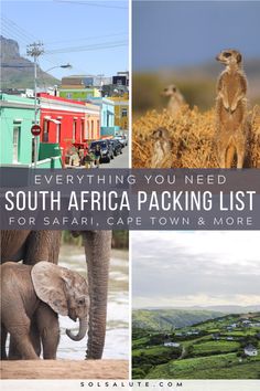 the south africa packing list for safaris, cape town and more is featured in this postcard