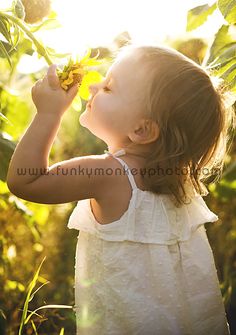 Sunflower Child Miss Claire, Dream Photography, Sunflower Field